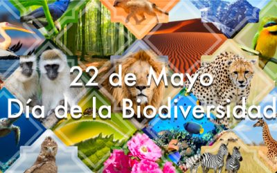 22 de mayo Día de la Biodiversidad