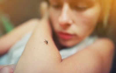 Dengue, Chikungunya y Zika: Prevención