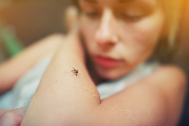 Dengue, Chikungunya y Zika: Prevención | Unity Promotores